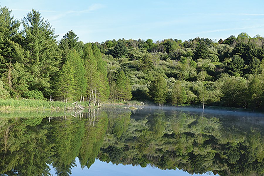LAND AUCTION - 2,596+/- ACRES IN 28 TRACTS IN COSHOCTON & MUSKINGUM COUNTIES, OHIO